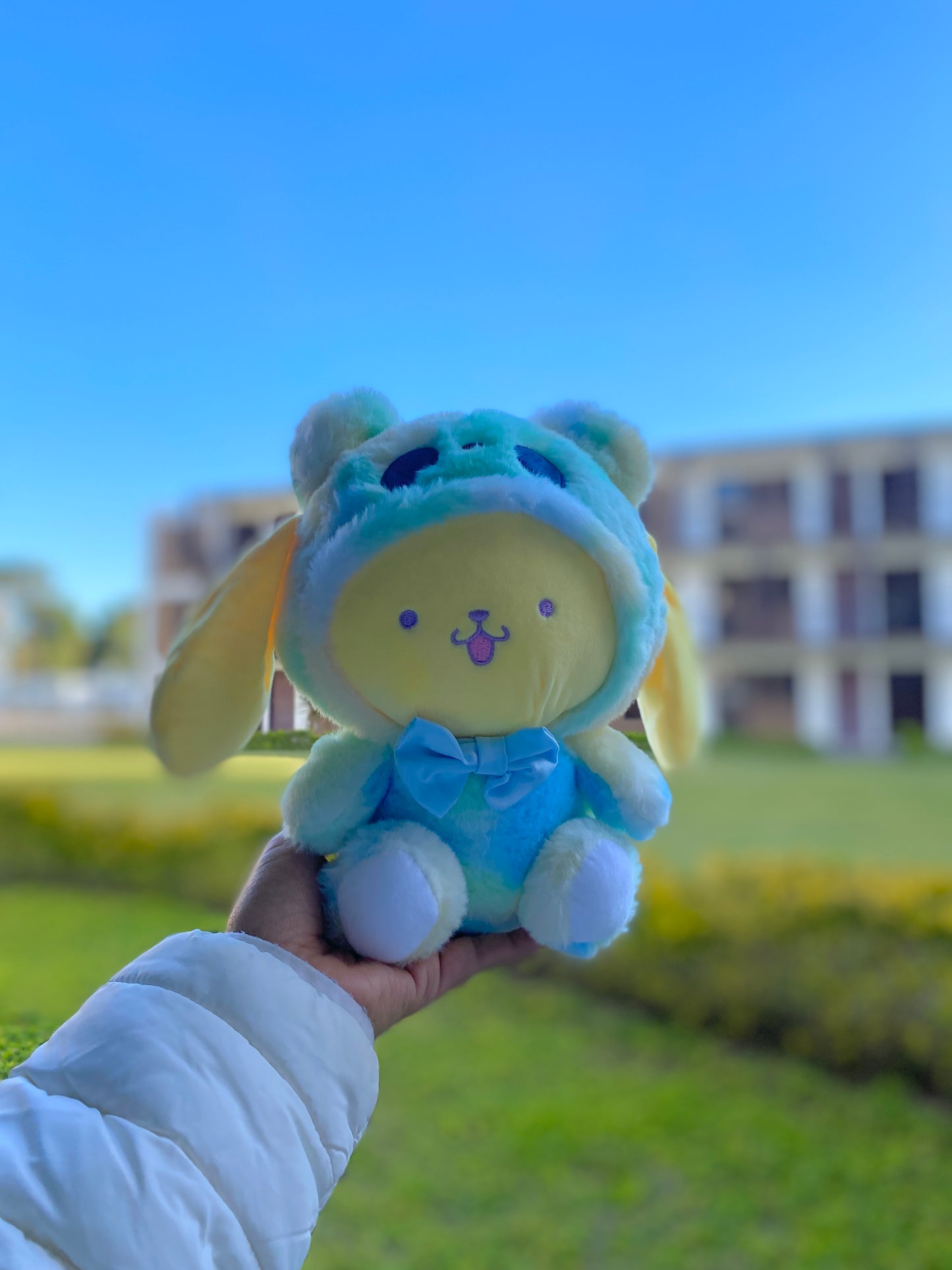 Peluche pompompurin - Sanrio