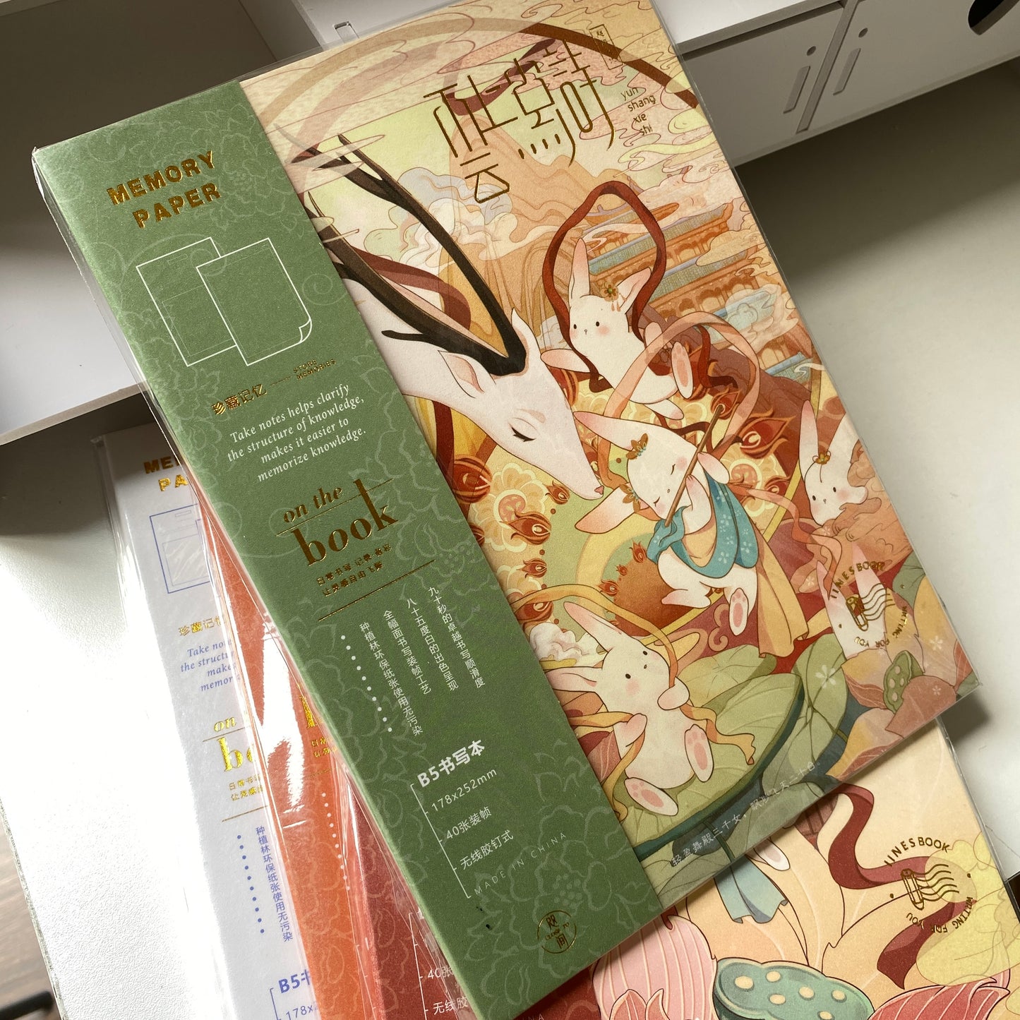 Libreta gráficas B5