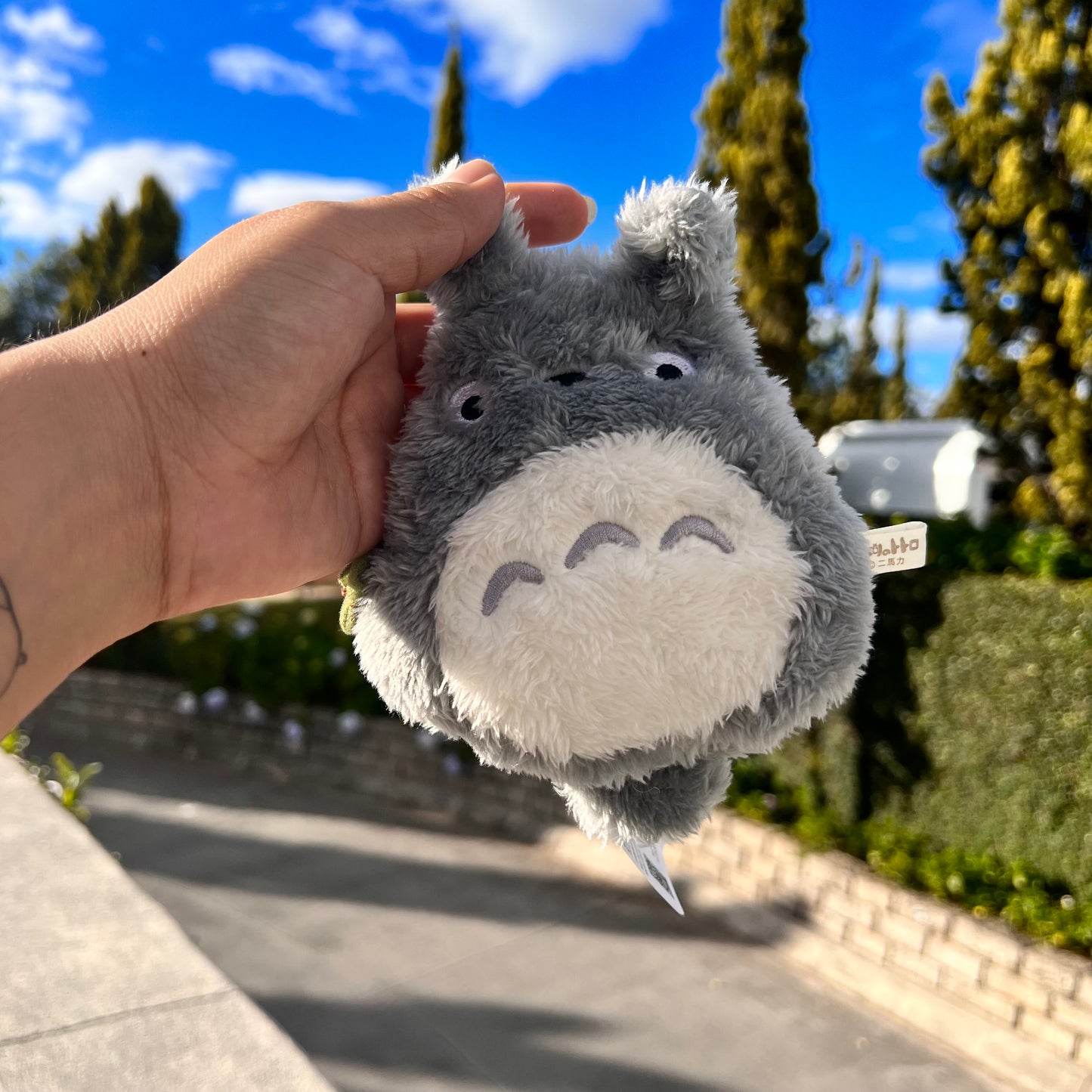 Monedero Totoro