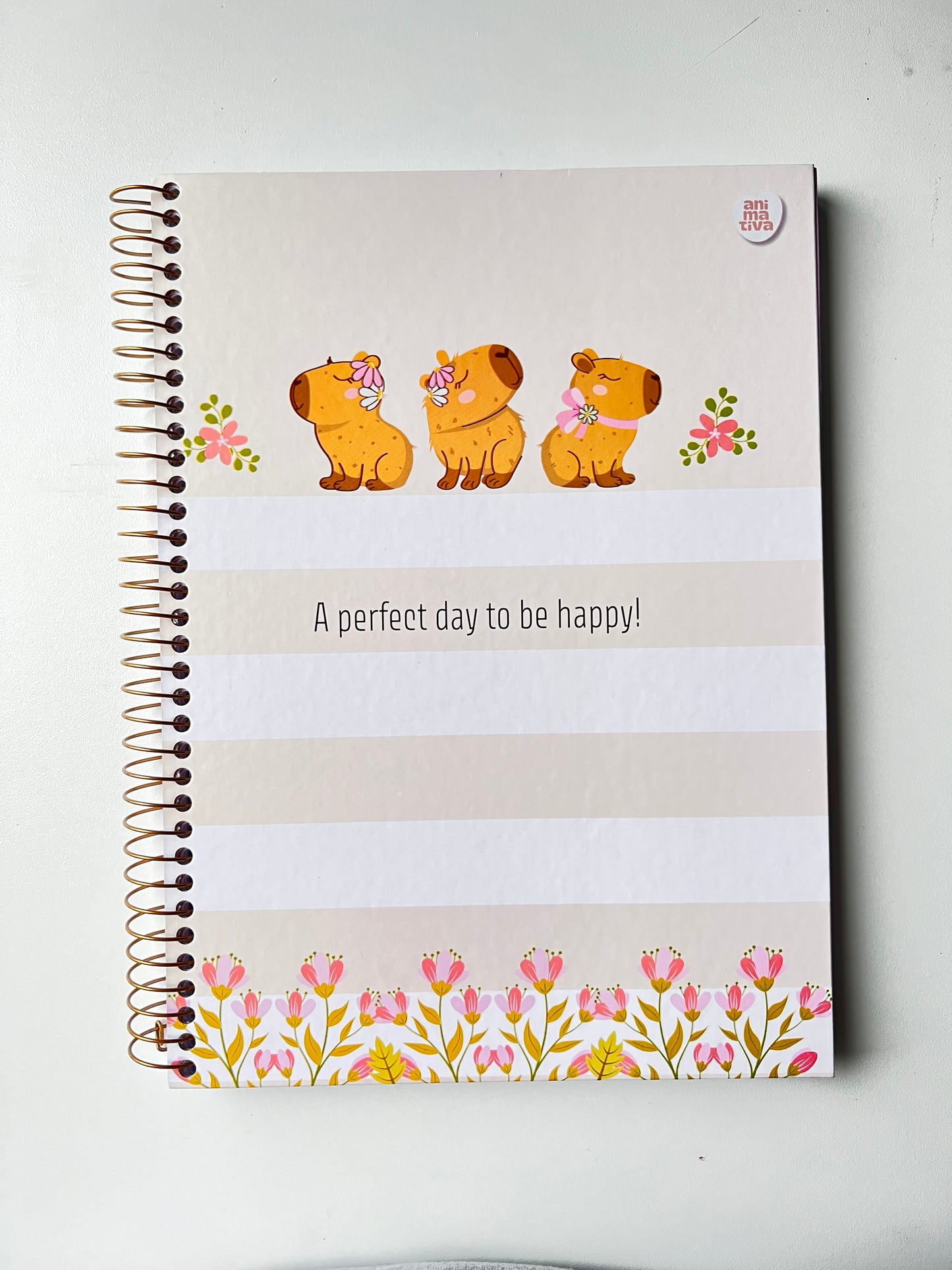 Cuaderno Capibara