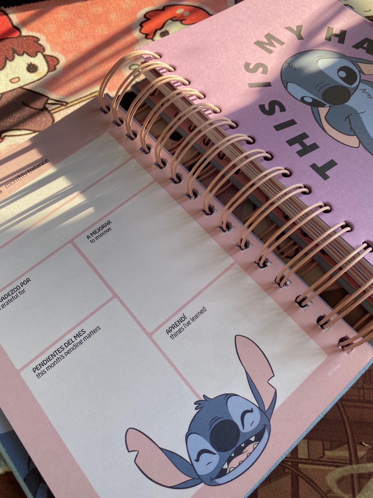 Agenda 2026 - Stitch