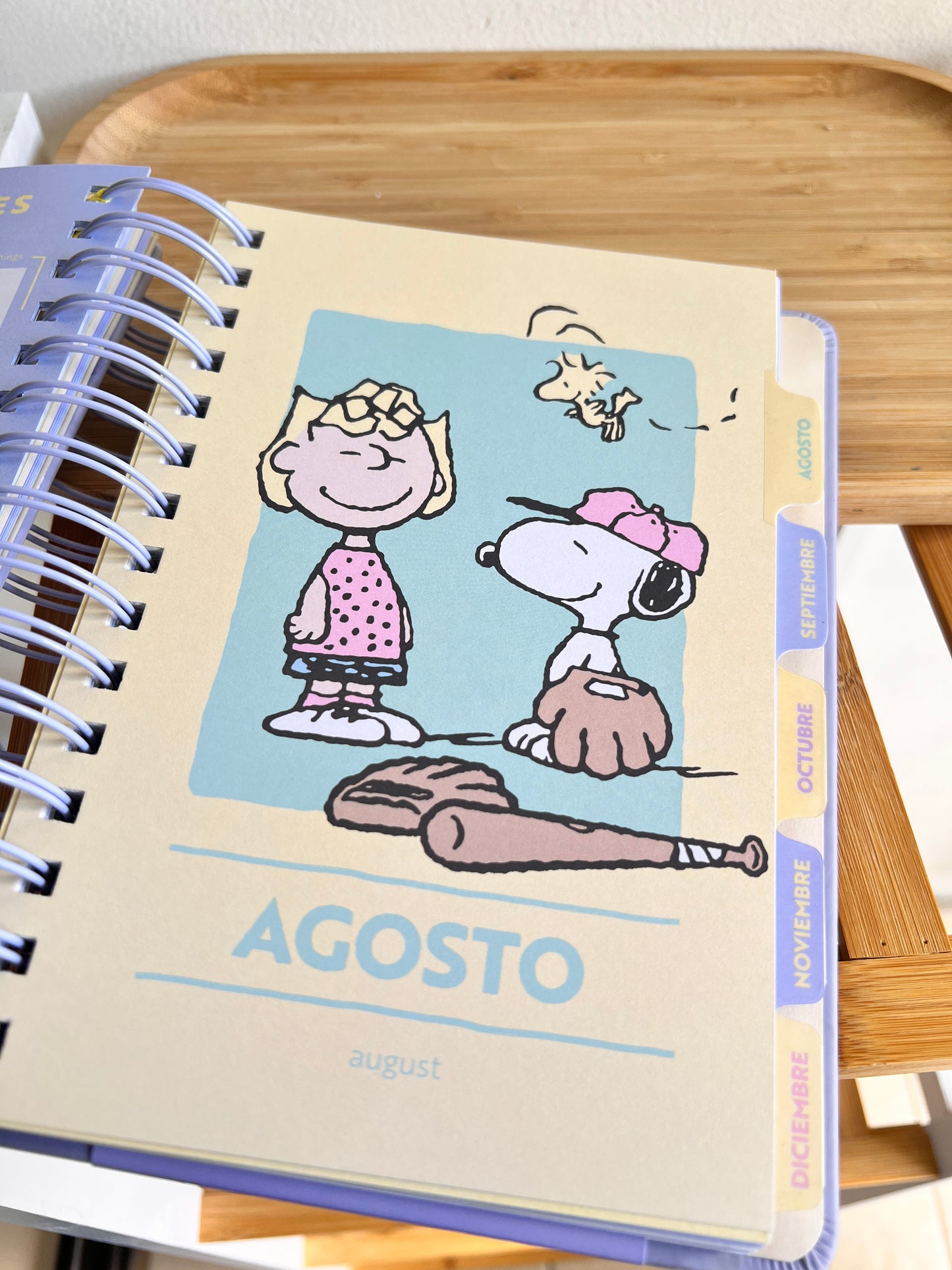 Agenda 2027 - Snoopy