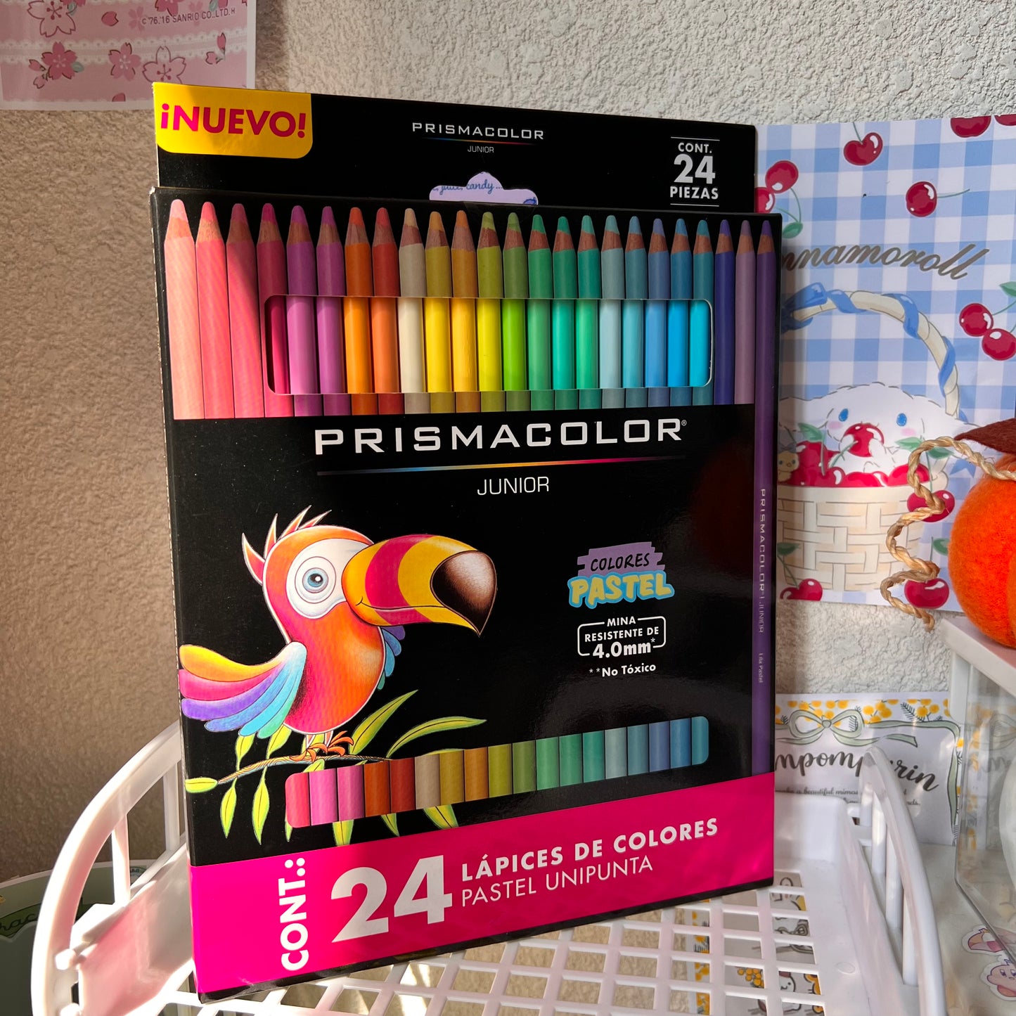 Crayon color pastel Kit 24 prismacolor