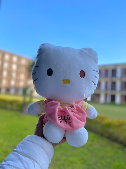 Peluche Kitty con bolsita