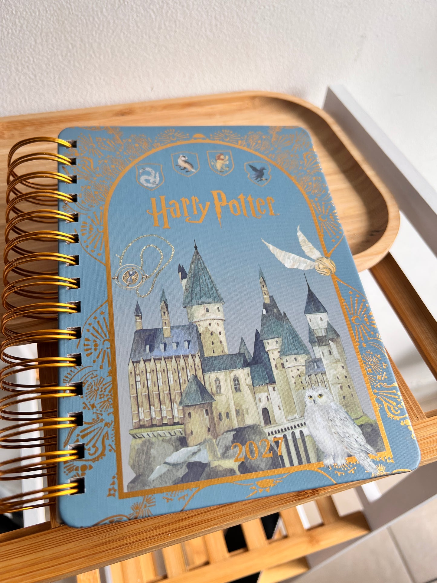 Agenda 2027 - Harry Potter