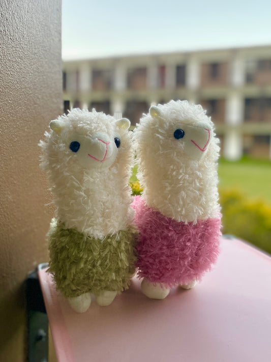 Peluche Alpaca duo