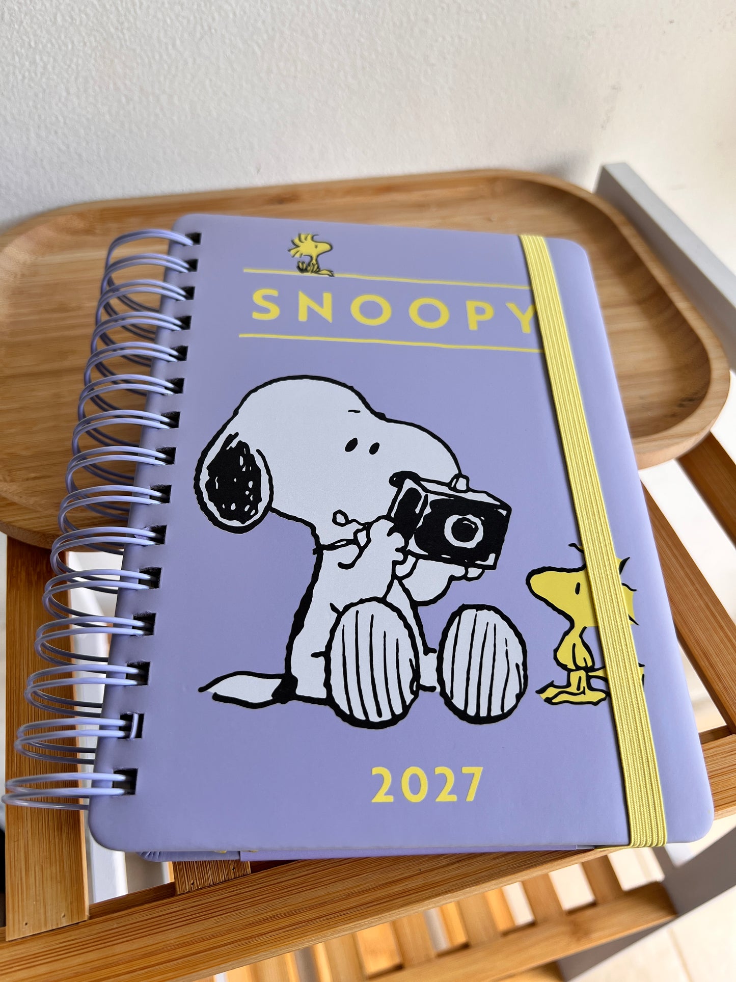 Agenda 2027 - Snoopy