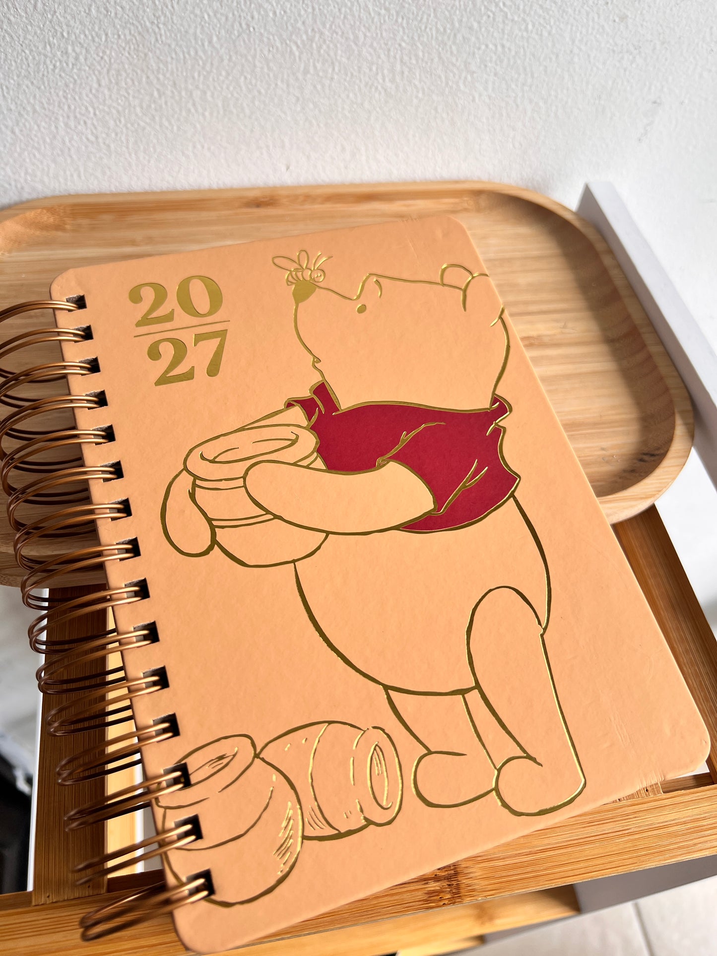 Agenda 2027 - Winnie Pooh